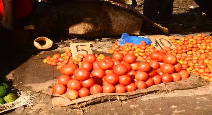 Tomate à venda disposto no chão sobre sacos, com os preços — 5 e 10 meticais — escritos à mão em pedaços de cartão.