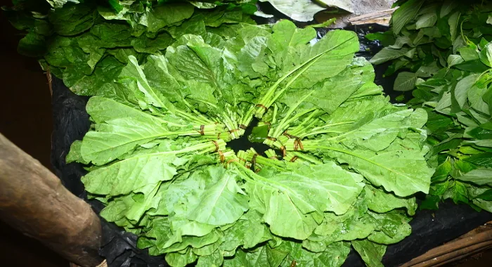 Couve acabada de colher, empilhada em folhas largas sobre plástico escuro.