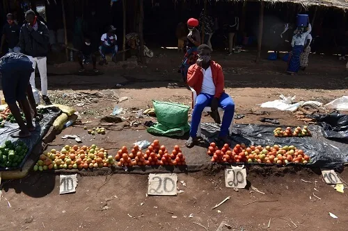 Banca de mercado com tomate alinhado em montes, cada um com o seu preço em cartão, e pessoas em redor.